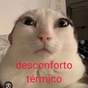 tiltrgb